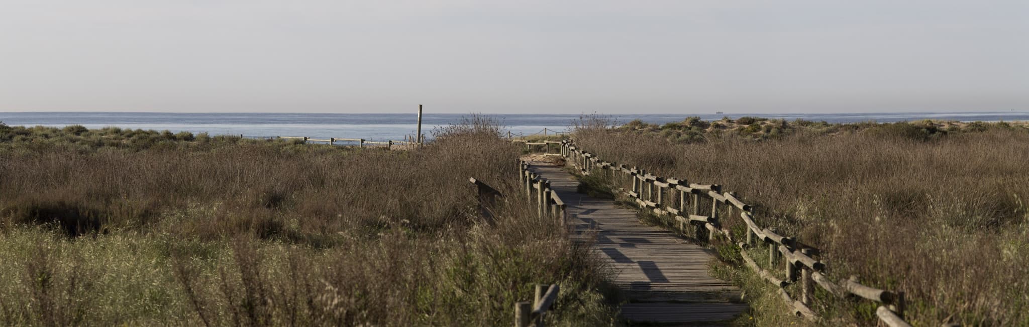 Camping La Noria — 4