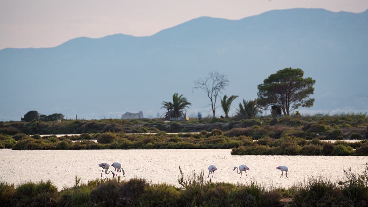 Parco Naturale del Delta de l'Ebre