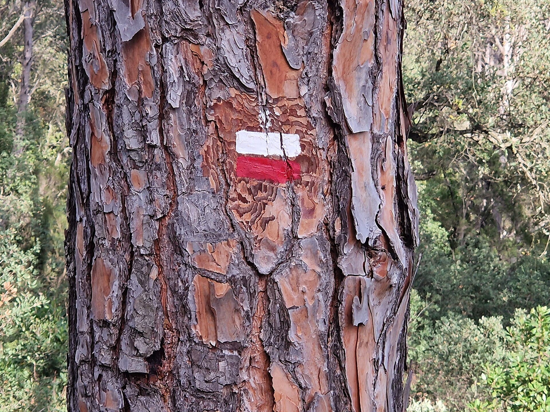 Sentiero Costiero Mediterraneo GR-92
