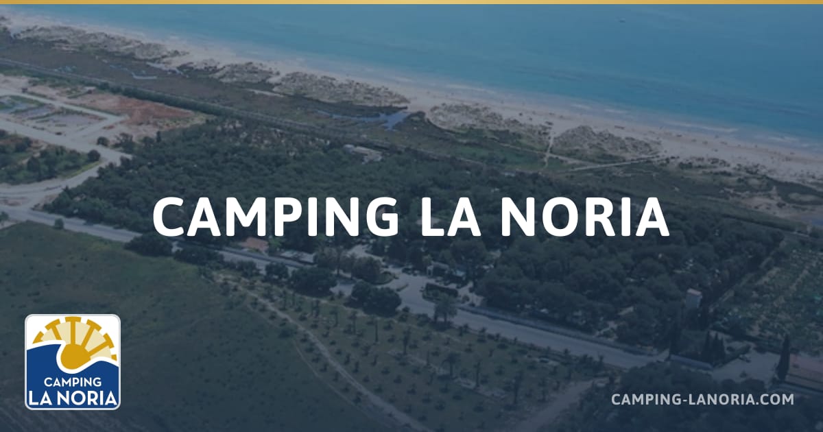 Càmping La Nòria — photo 4